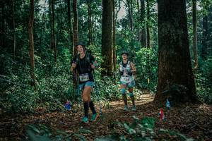 BIB: 
                            <button type="button" onclick="openModal(26127850)" class="btn btn-primary btn-sm float-right btn-popup" data-toggle="modal" data-target=".modal-high-quality">
                        <i class="fas fa-shopping-cart"></i> Add to Cart
                    </button>
                                            <button type="button" onclick="isThisMe(26127850, true)" class="btn btn-success btn-sm float-right btn-popup btn-isme hidden" data-toggle="tooltip" data-placement="bottom" title="นี่คือรูปของคุณใช่ไหม คลิกที่นี่เพื่อเอาเข้าอัลบั้ม">
                        <i class="fas fa-plus"></i> Add to album
                    </button>
                    <button type="button" onclick="isThisMe(26127850, false)" class="btn btn-warning btn-sm float-right btn-popup btn-isnotme hidden">
                        <i class="fas fa-ban"></i> Remove from album
                    </button>